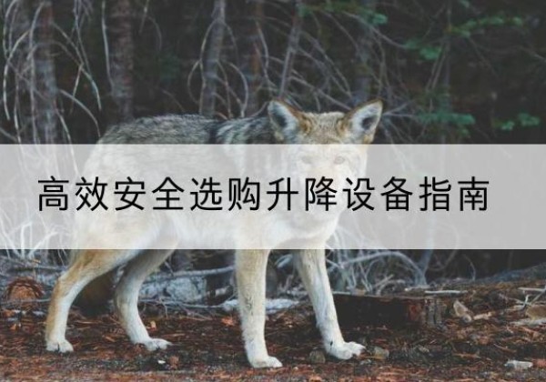 阳城升降货梯厂家推荐-*安全选购升降设备指南