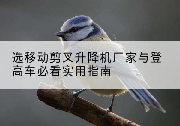 阳城电动升降机厂家-选移动剪叉升降机厂家与登高车必看实用指南