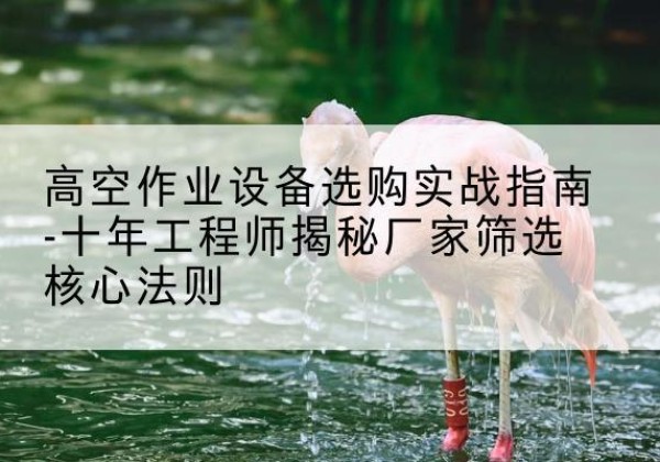 阳城剪叉式升降机厂家-高空作业设备选购实战指南-十年工程师揭秘厂家筛选核心法则